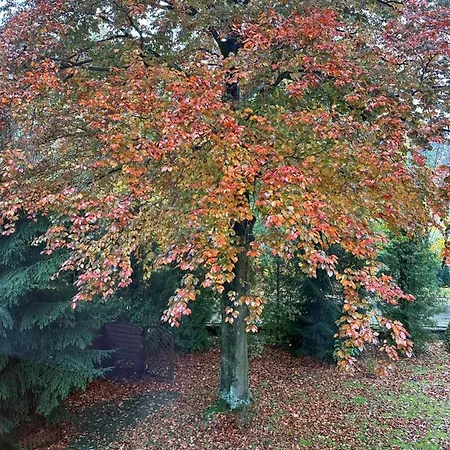 Pensjonat Pod Bukami *